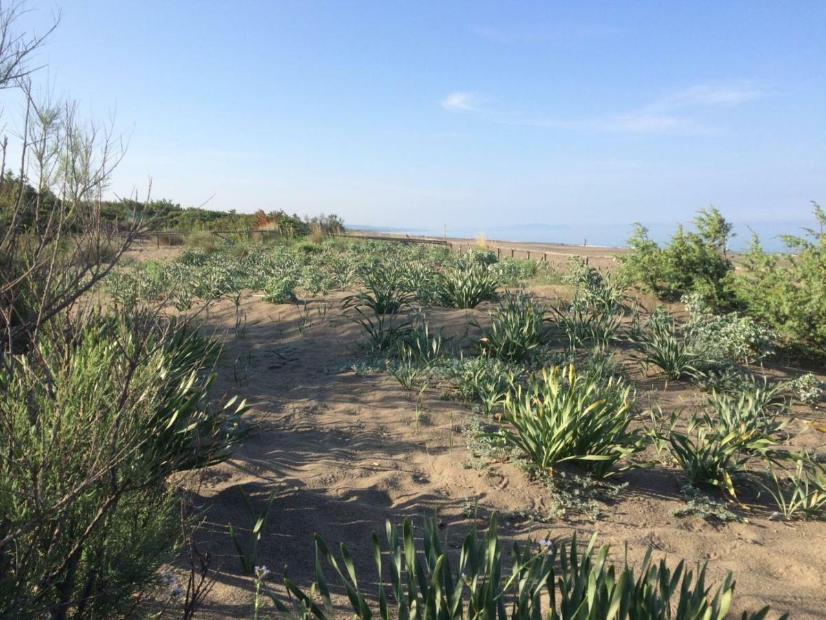 Camping I Melograni Marina Di Bibbona Bagian luar foto